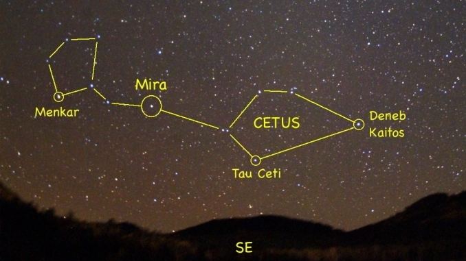 Cetus Star Constellation Facts Cetus