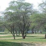 Chah Kutah wwweneshatcomimages201608chahkutahpark315