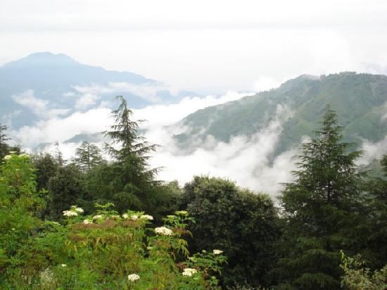 Chail, Himachal Pradesh httpsuploadwikimediaorgwikipediacommons55