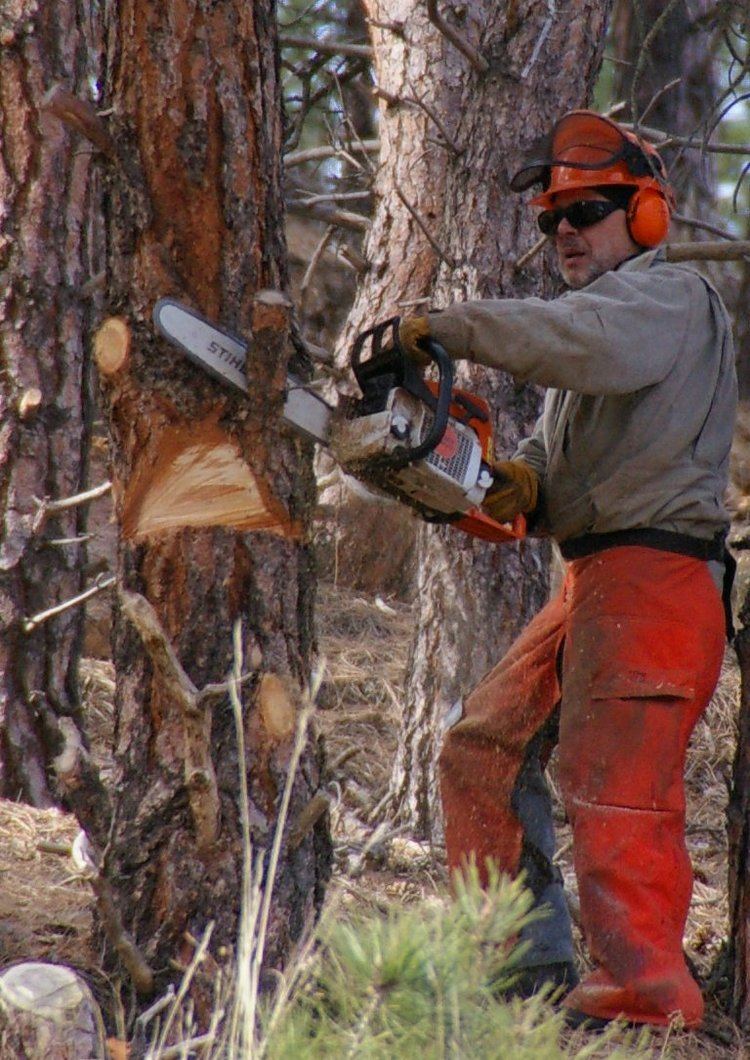 Chainsaw safety clothing