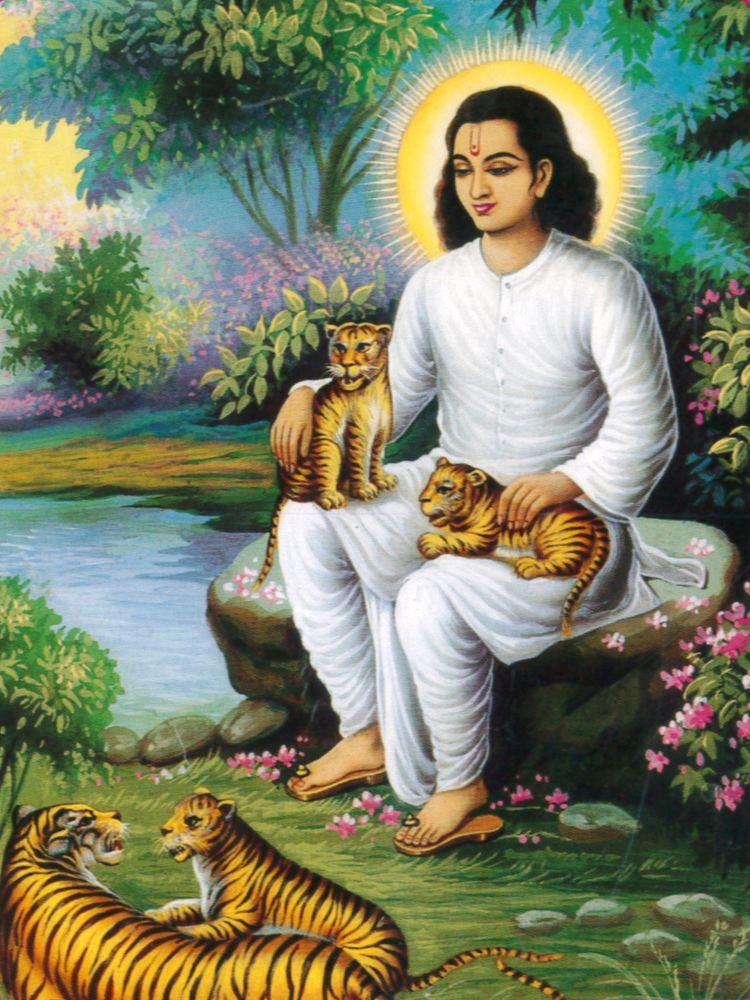Chakradhar Swami smiling while sitting on the rock and two tiger cubs on his lap
