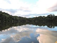 Chalalán Lake httpsuploadwikimediaorgwikipediacommonsthu