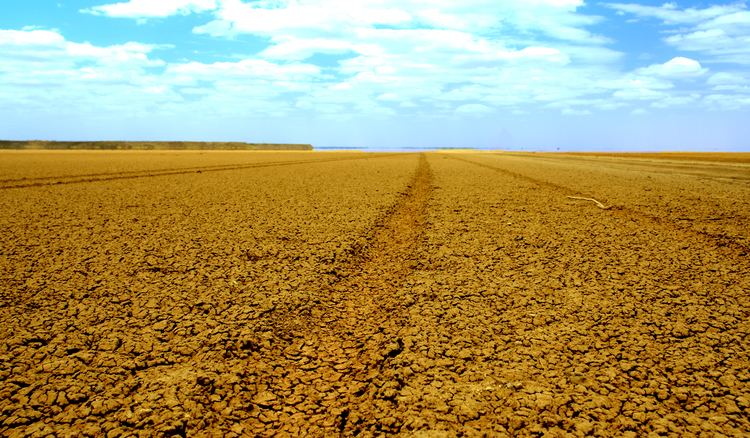 Chalbi Desert FileTracks Chalbi Desertjpg Wikimedia Commons