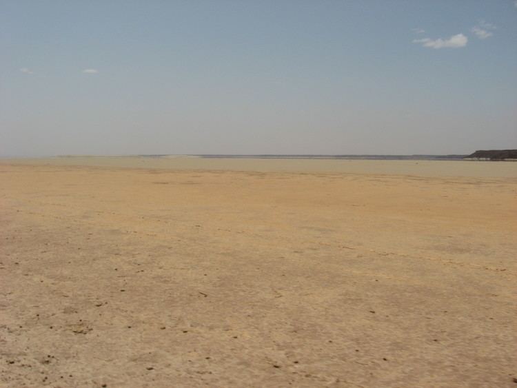 Chalbi Desert Chalbi Desert the amazing oasis in the dry Northern Kenya Safari