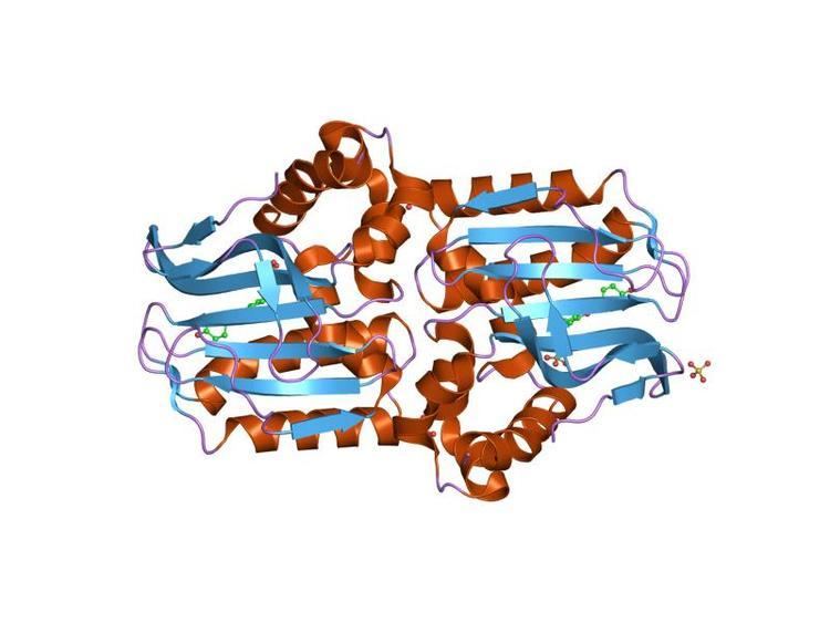 Chalcone isomerase