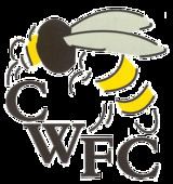 Chalfont Wasps F.C. httpsuploadwikimediaorgwikipediaenthumb6