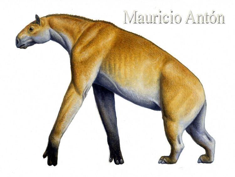 Chalicothere Denizens of Madrid39s Miocene woods the Chalicotheres chasing