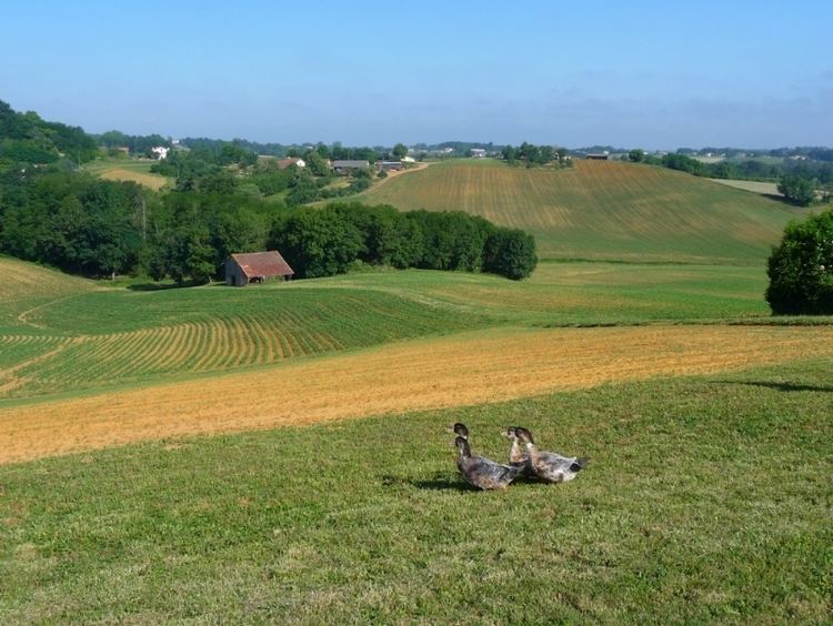 Chalosse The cooperative Foie Gras de Chalosse Domaine de Castelnau