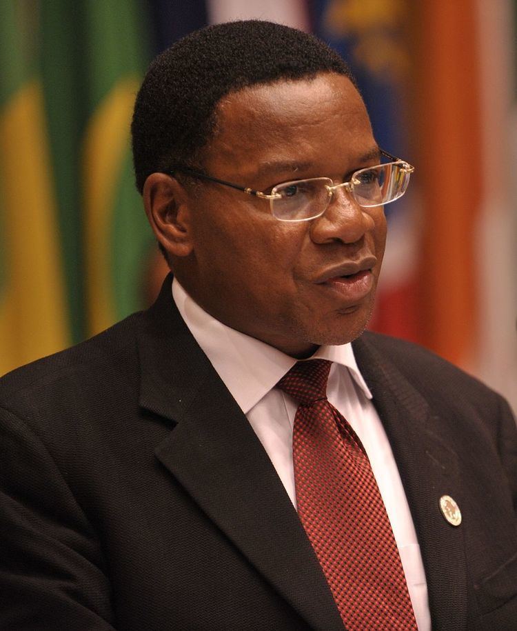 Chama Cha Mapinduzi presidential primaries, 2015