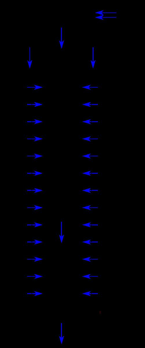 Chamberland filter