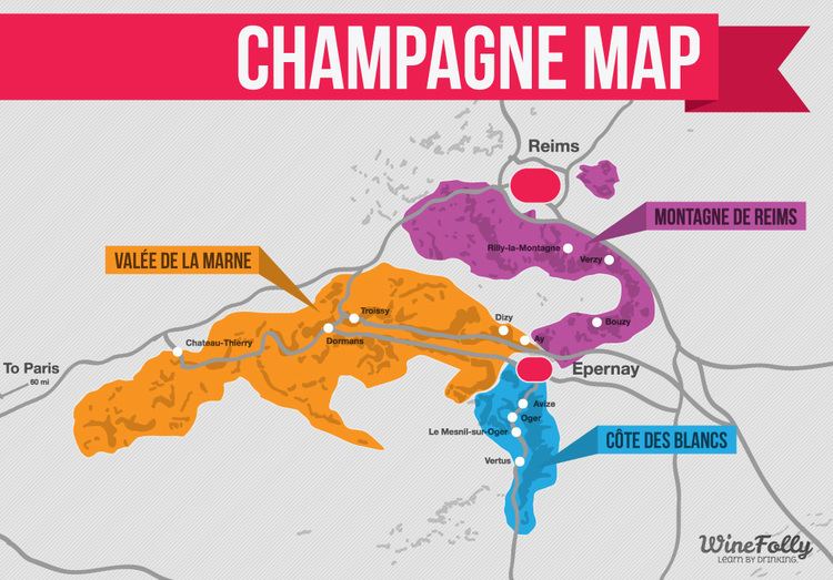 Champagne (wine region) Champagne Map Infographic Wine Folly