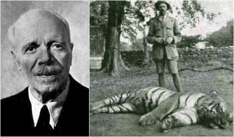 Champawat Tiger The Champawat Tiger was responsible for 436 deaths in Nepal amp India