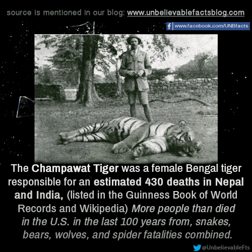 Champawat Tiger Unbelievable facts