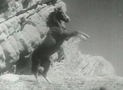Champion the Wonder Horse Little Gems The Ballet Shoes Dick Tracy Godzilla The Spooks of