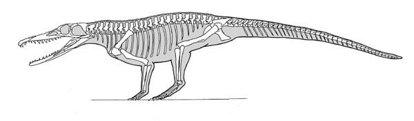 Chanaresuchus Untitled Document