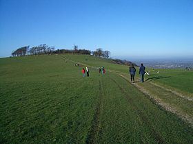 Chanctonbury Ring httpsuploadwikimediaorgwikipediacommonsthu