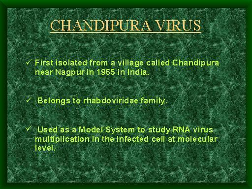 Chandipura virus CHANDIPURA VIRUS