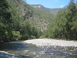 Chandler River (New South Wales) httpsuploadwikimediaorgwikipediacommonsthu