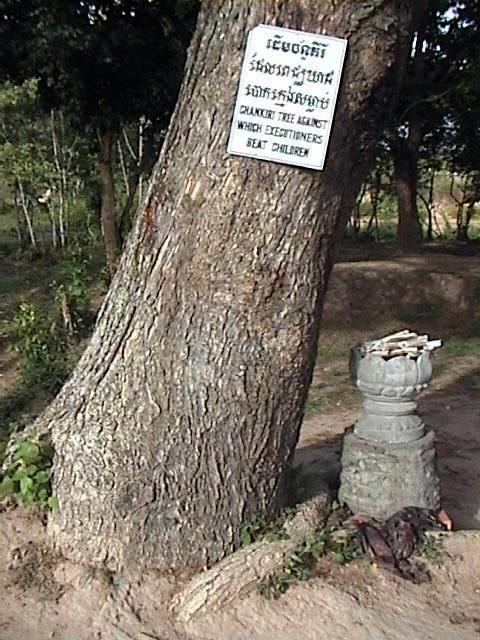 Chankiri Tree Message from Phnom Penh Cambodia