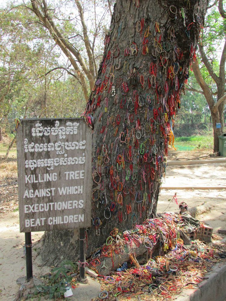 Chankiri Tree Cambodian Genocide Album on Imgur