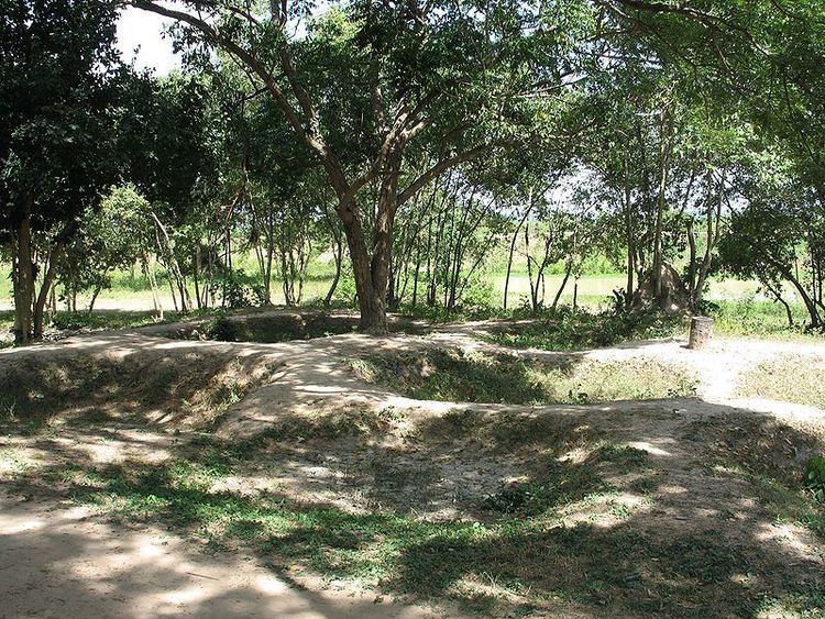 Chankiri Tree Angkor What The Chankiri Tree Dispatches from Kaohsiung