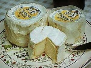 Chaource cheese Chaource cheese Gastronomy amp Holidays guide
