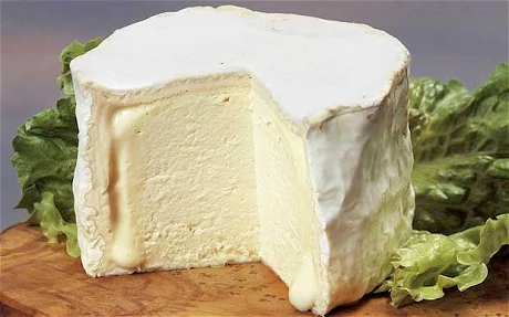 Chaource cheese itelegraphcoukmultimediaarchive02010Charouc