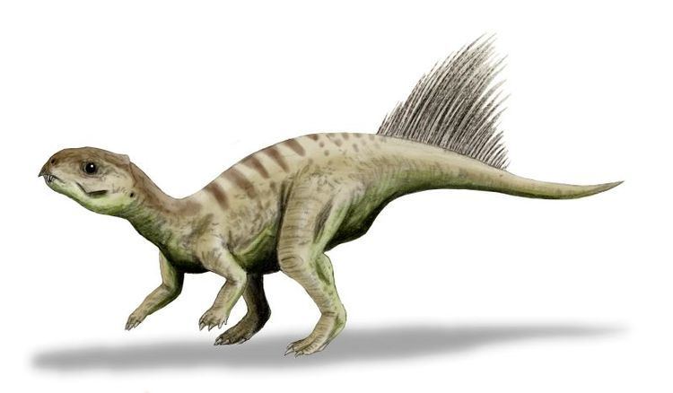 Chaoyangsauridae