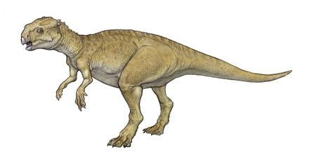 Chaoyangsaurus 