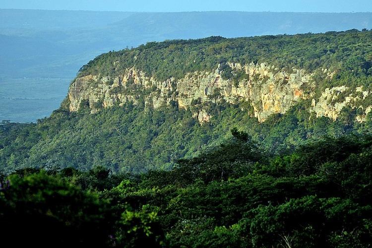 Chapada do Araripe FileChapada do Araripe Pernanbucojpg Wikimedia Commons