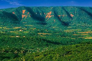 Chapada do Araripe httpsuploadwikimediaorgwikipediacommonsthu