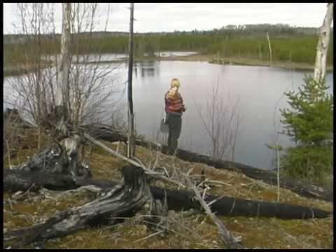 Chapleau Crown Game Preserve Boreal in Peril the State of the Chapleau Crown Game Preserve by