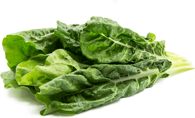 Chard Green Swiss Chard Information Recipes and Facts