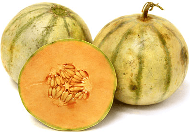 Charentais melon Charentais Melon Information Recipes and Facts