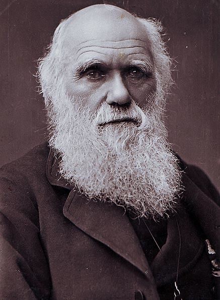 Charles Darwin Portraits of Charles Darwin Wikipedia the free encyclopedia