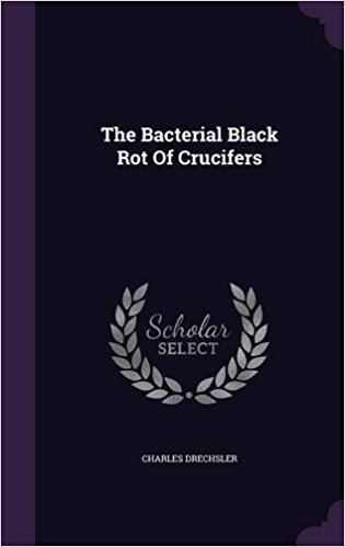 Charles Drechsler The Bacterial Black Rot Of Crucifers Charles Drechsler