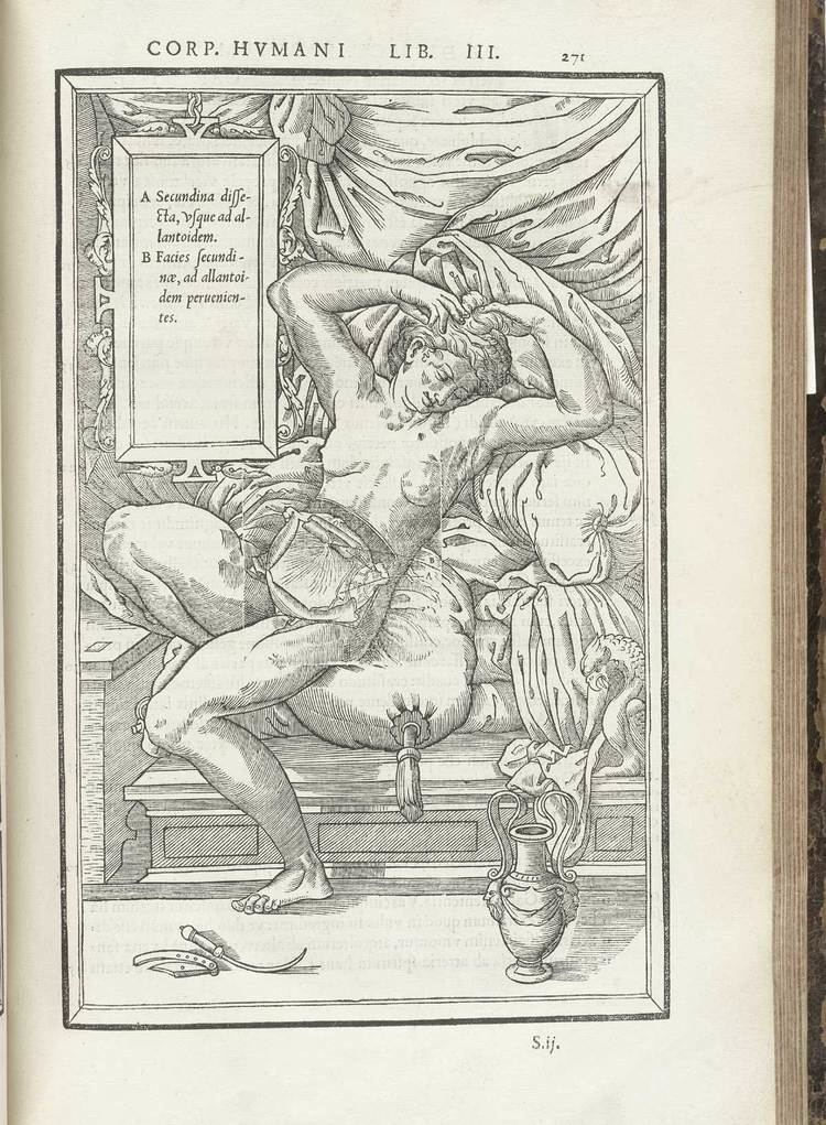 Charles Estienne 16th Century Anatomy and Pornography De dissectione