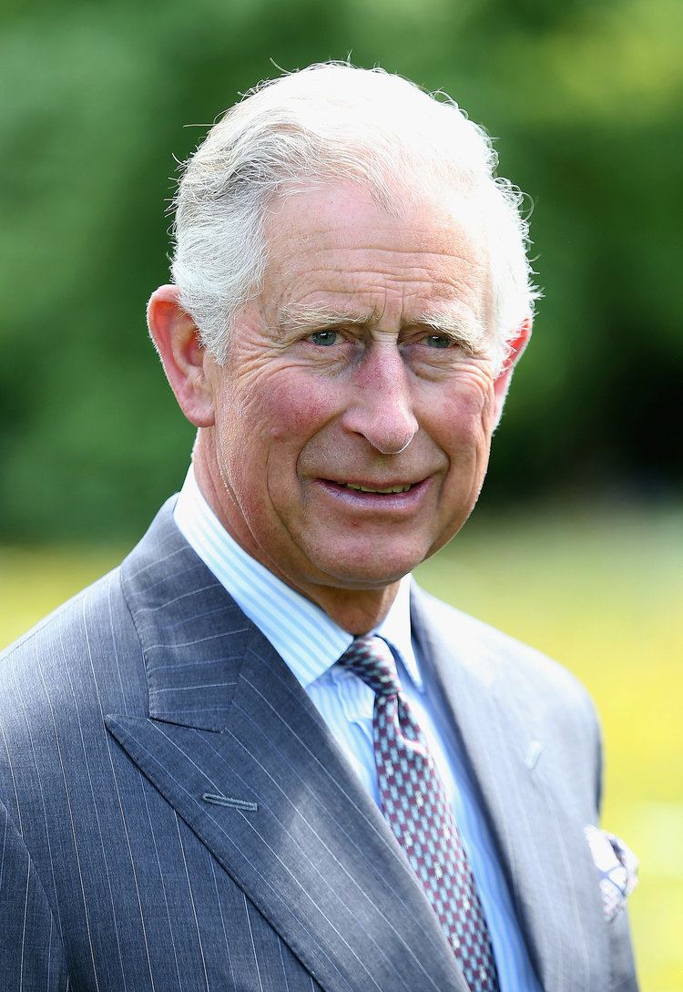 Charles, Prince of Wales Charles Prince of Wales So What Does the Royal Family