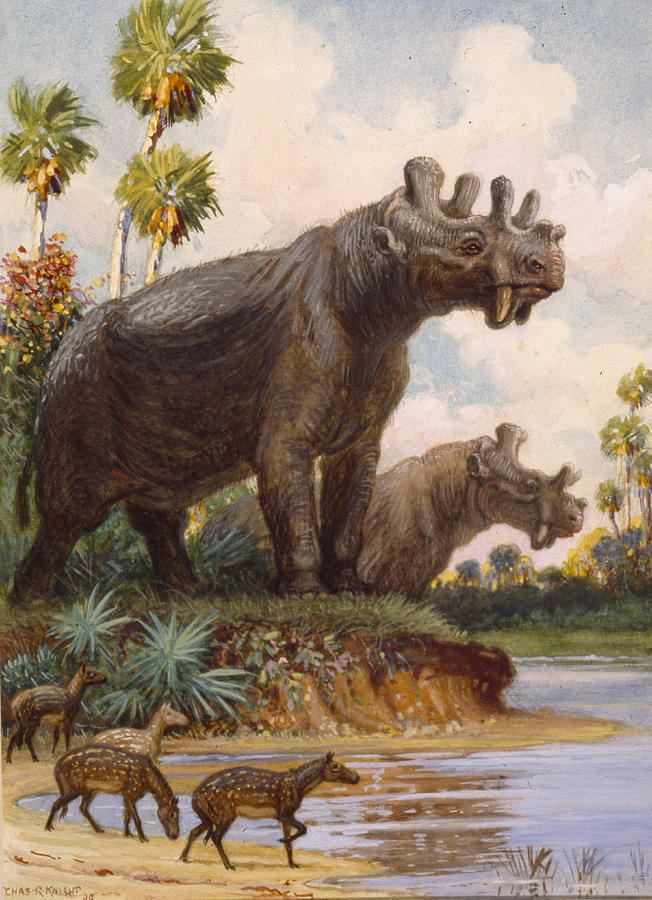 Charles R. Knight When Dinosaurs Ruled The Mind 16 The Art Of Charles R