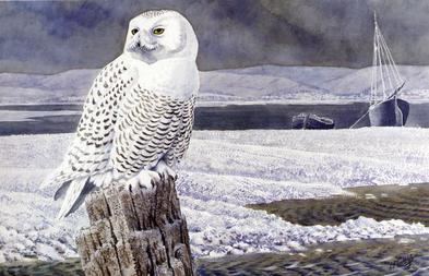 Charles Tunnicliffe Charles Tunnicliffe Wikipedia the free encyclopedia