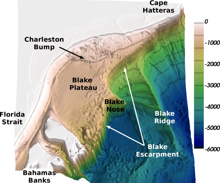 Charleston Bump Topographic control of the Gulf Stream