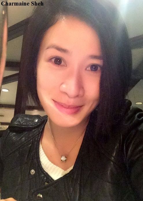 Charmaine Sheh Charmaine Sheh Movies Actress Hong Kong Filmography