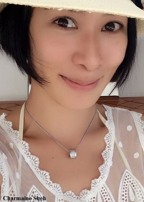 Charmaine Sheh Charmaine Sheh Movies Actress Hong Kong Filmography