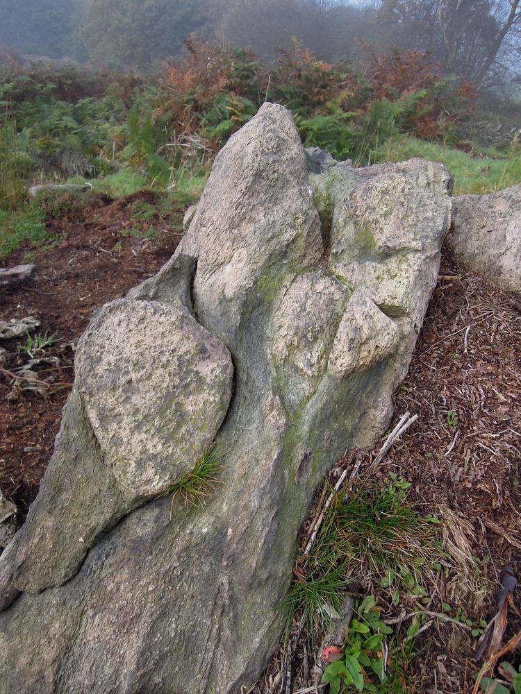 Charnwood Forest Charnwood forest misty traces of ancient landscapes Metageologist