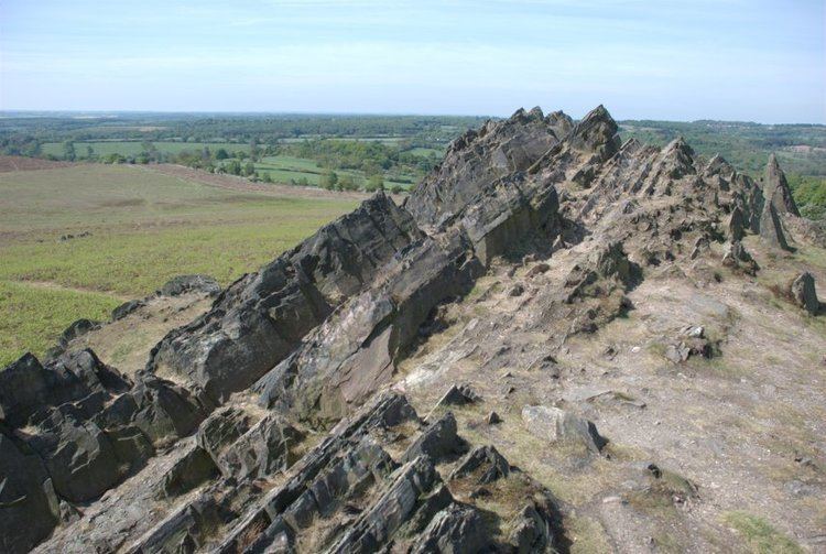 Charnwood Forest BeenThereDoneThat Bradgate Park Charnwood Forest Leicestershire