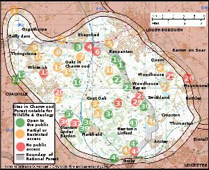 Charnwood Forest Charnwood Forest Wikipedia