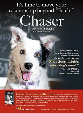 Chaser (dog) staticwixstaticcommediae7346dca18bae33be14b5f