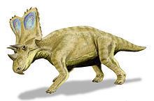 Chasmosaurus httpsuploadwikimediaorgwikipediacommonsthu