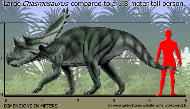 Chasmosaurus Chasmosaurus