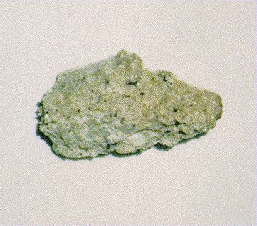 Chassigny (meteorite) www2jplnasagovsncchasgif
